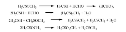 Possible reaction pathways in thermal decomposition of DMSO