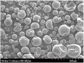 Scanning electron microscope image of povidone K30