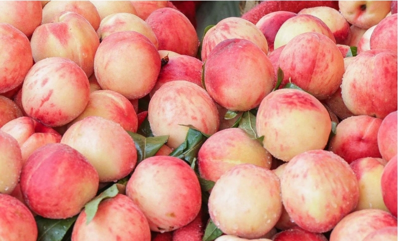 The application of pvp in peach preservation
