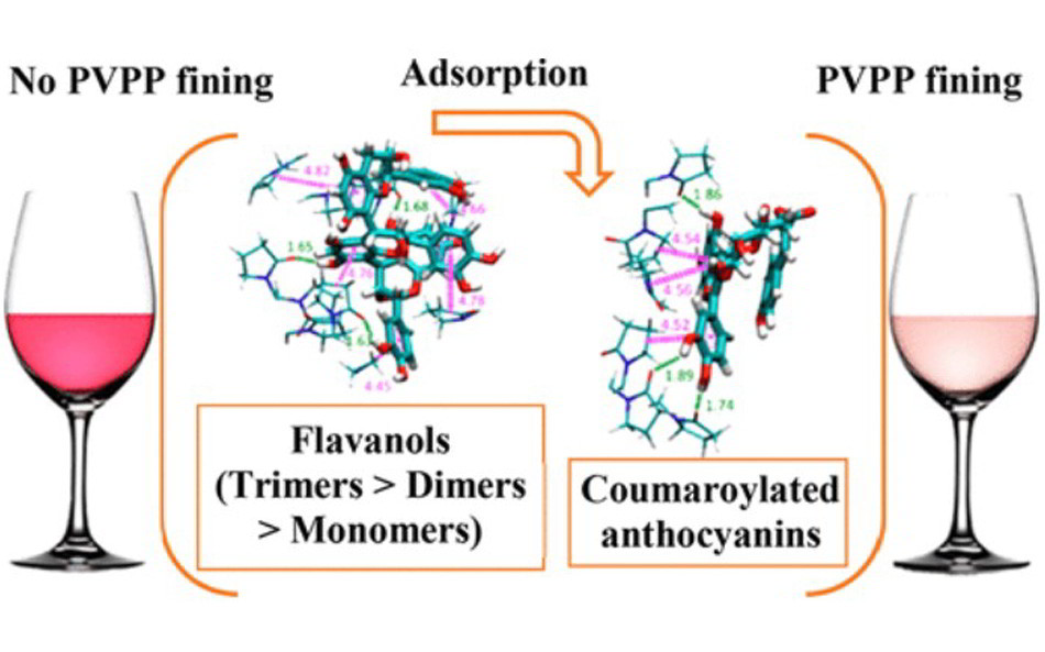Application of PVPP in wine and molecular dynamics simulation