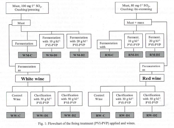 Fig. 1: Flowchart of the fining treatment (PVI-PVP) applied and wines.