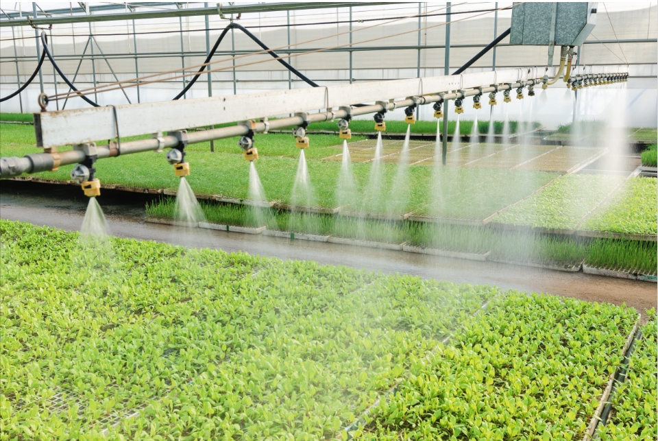 The importance of polyvinylpyrrolidone pvp in modern agriculture
