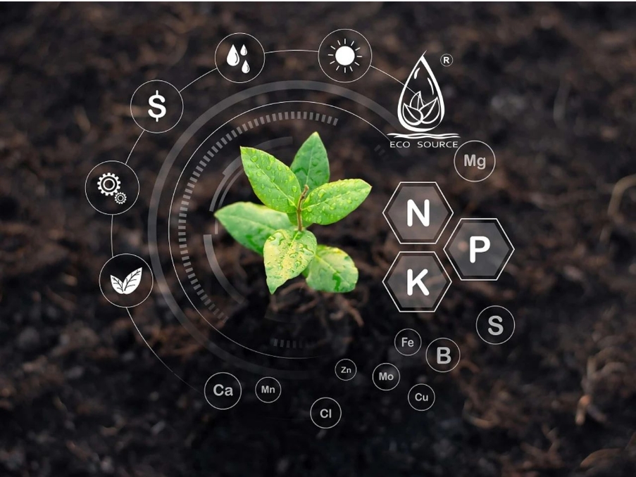 Application of PVP hydrogels in agriculture