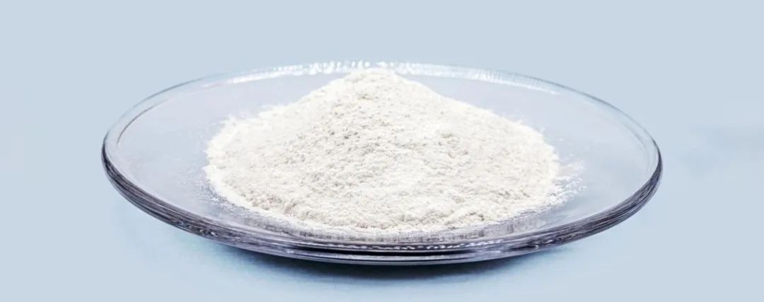 Polyvinylpyrrolidone